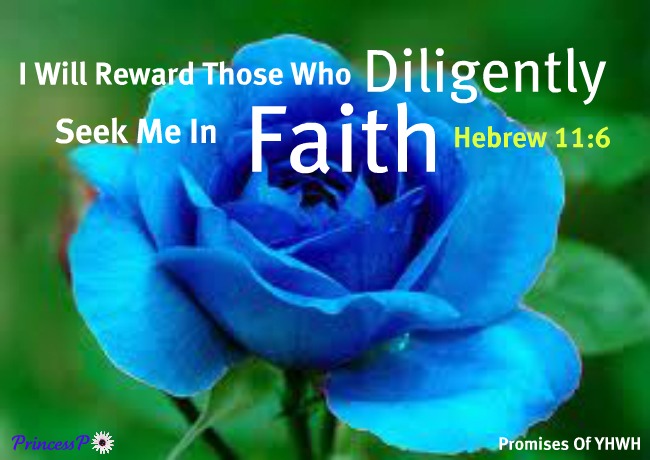 Those Who Diligently Seek Him